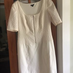 Ann Taylor zip front dress